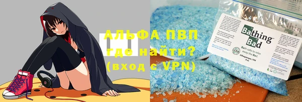 прущие грибы Корсаков