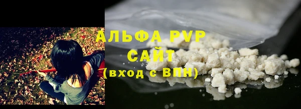 прущие грибы Корсаков