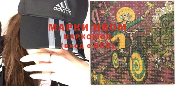 прущие грибы Корсаков