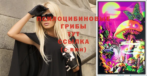 трава Коряжма