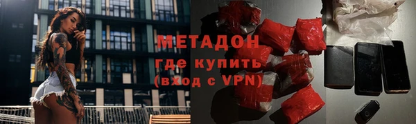 прущие грибы Корсаков