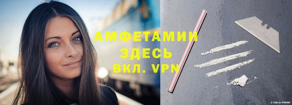 трава Коряжма