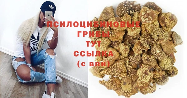 трава Коряжма