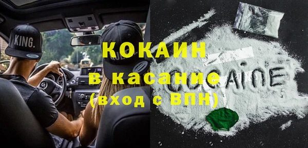 трава Коряжма