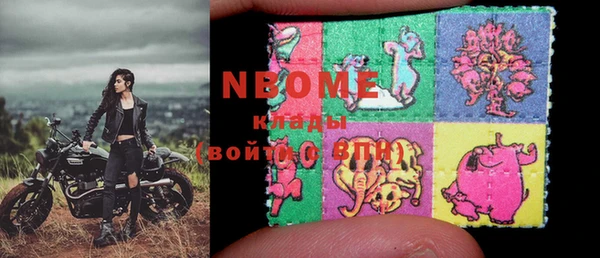прущие грибы Корсаков