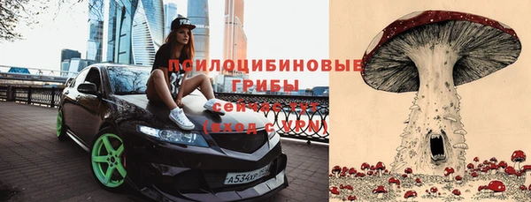 трава Коряжма
