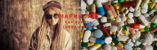трава Коряжма