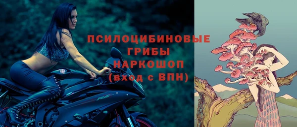 трава Коряжма