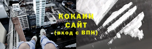 прущие грибы Корсаков