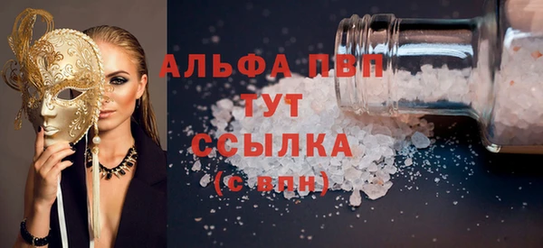прущие грибы Корсаков