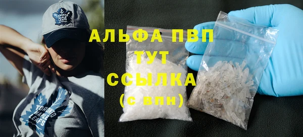прущие грибы Корсаков