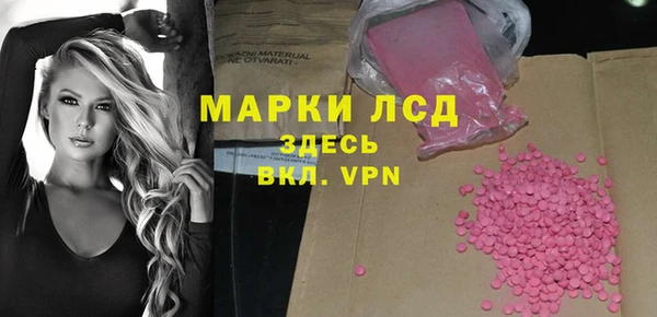 трава Коряжма