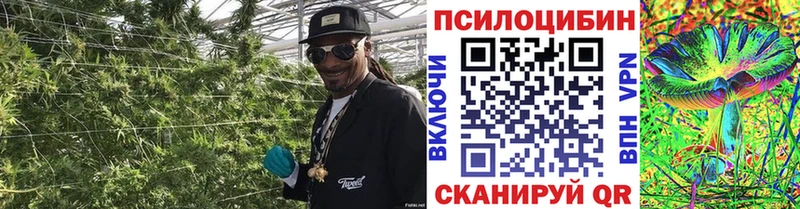 Псилоцибиновые грибы Cubensis  Купить где  Электросталь 